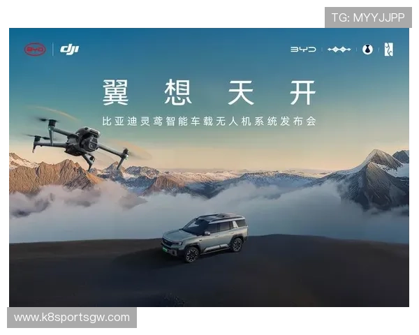 k8凯发(中国)天生赢家：详解其在中国市场的用户增长策略与客户维护方案