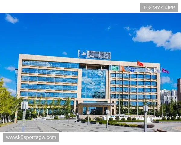 k8凯发天生赢家全站：最新版本更新内容详解及未来发展趋势预测